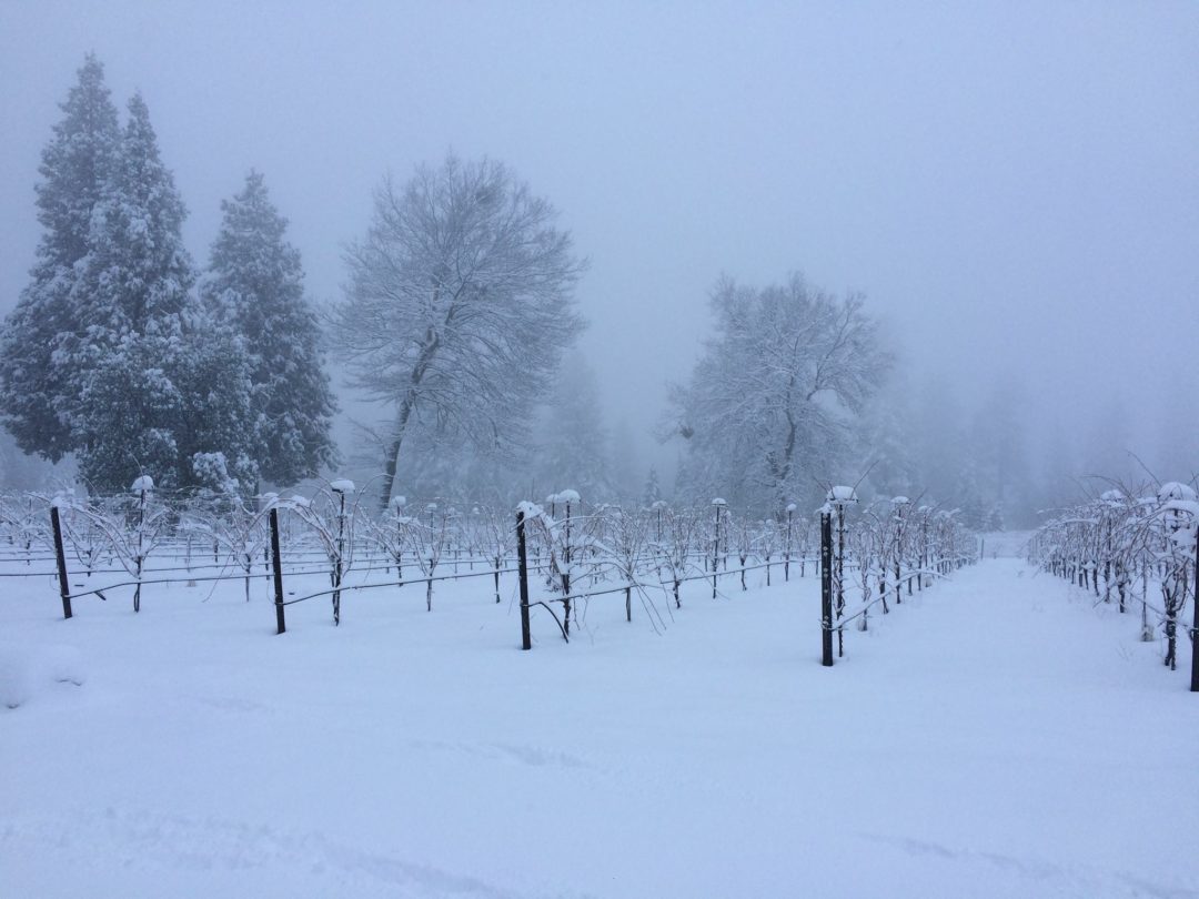 Madrona Vineyards under a deep snow blanket