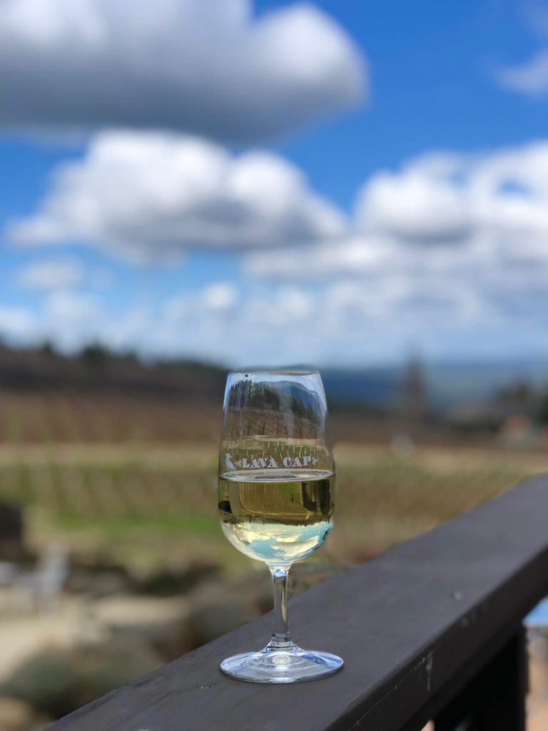 Lava Cap Winery– Vineyard views