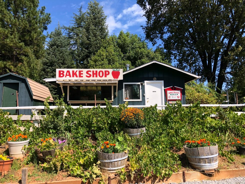 the bake shop