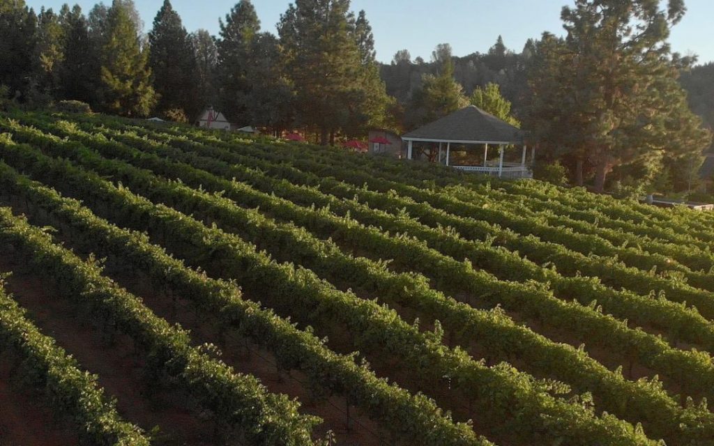 Apple hill winery