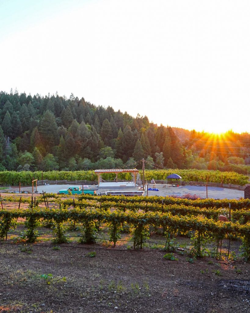 Folk on the Farm Delfino Farms Apple Hill Growers Association