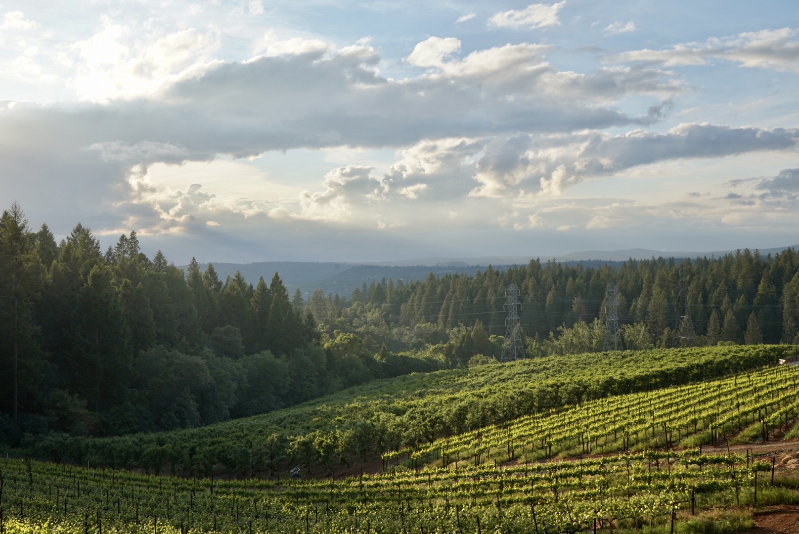 Apple Hill Growers Association - Open Year Round