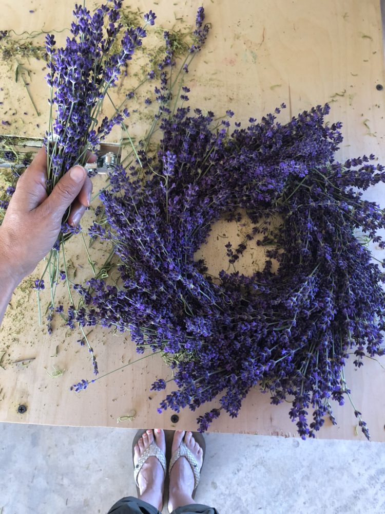 lavender wreath