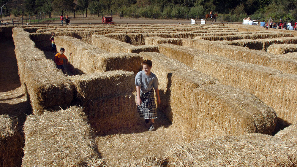 Kids Activities - Apple Hill Growers Association